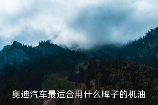 奥迪汽车最适合用什么牌子的机油