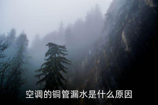 空调的铜管漏水是什么原因