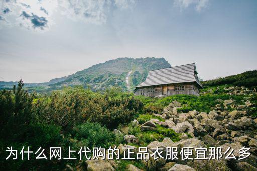 为什么快时尚品牌代购，国际一线产品直购和代购分别是怎么回事