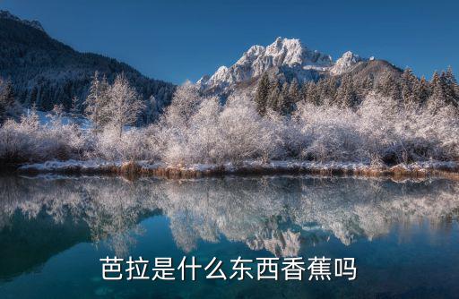 芭拉是什么东西香蕉吗