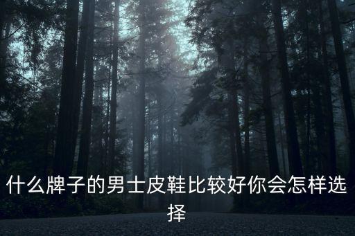 时尚男人穿什么皮鞋好，什么牌子的男士皮鞋比较好该怎样选择