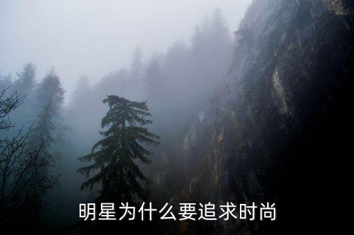 明星为什么要追求时尚