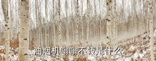 油烟机嗡嗡不转是什么