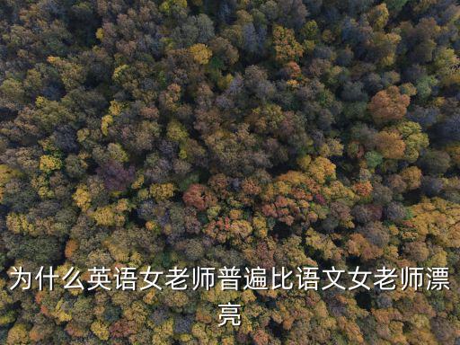为什么英语老师追时尚，英语翻译为什么人们要追随时尚现在现在很多人都喜欢