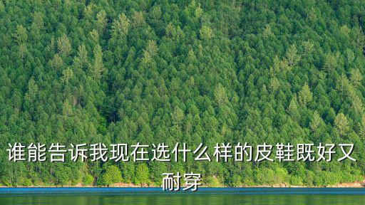 谁能告诉我现在选什么样的皮鞋既好又耐穿