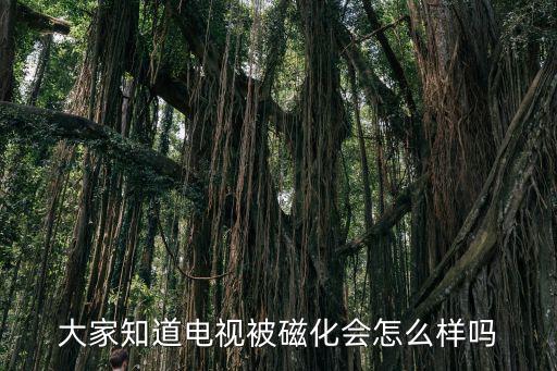 大家知道电视被磁化会怎么样吗