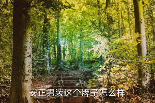安正男装这个牌子怎么样