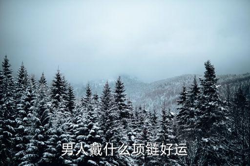 男人戴什么项链好运