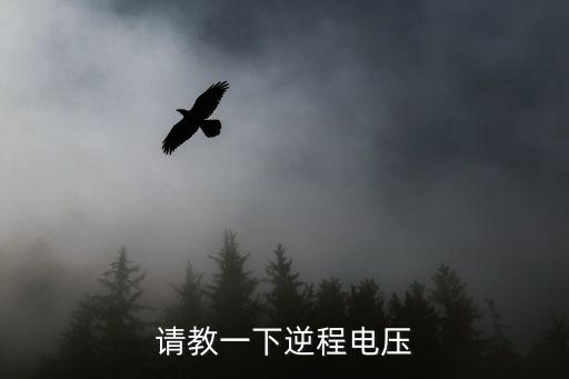 请教一下逆程电压