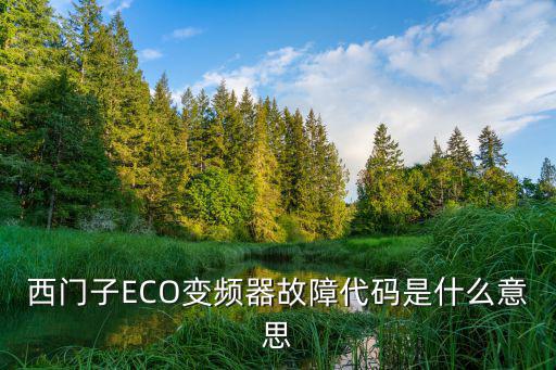 西门子ECO变频器故障代码是什么意思