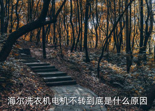 海尔洗衣机电机不转原因是什么问题，海尔洗衣机电机不转到底是什么原因