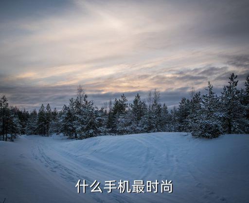 什么手机最时尚