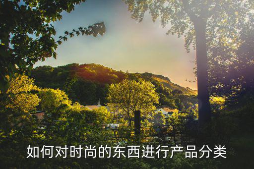如何对时尚的东西进行产品分类