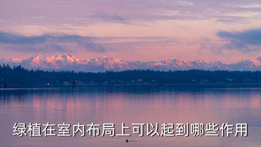 绿植在室内布局上可以起到哪些作用