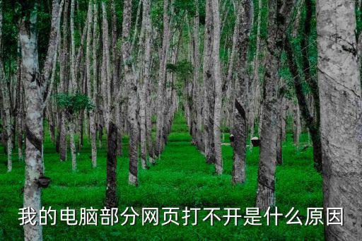 我的电脑部分网页打不开是什么原因