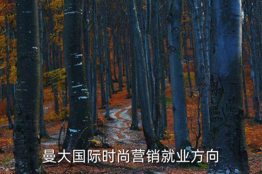 曼大国际时尚营销就业方向