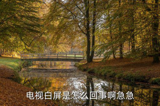 电视白屏是怎么回事啊急急