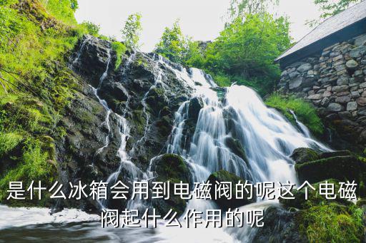是什么冰箱会用到电磁阀的呢这个电磁阀起什么作用的呢