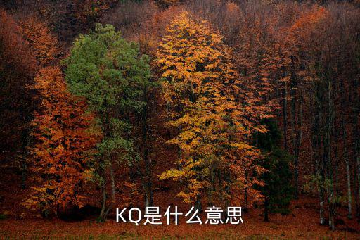 KQ是什么意思