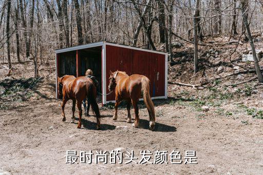 最时尚的头发颜色是