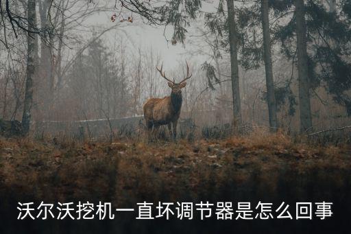 挖机调节器是什么意思，挖掘机液压泵功率调节器什么作用
