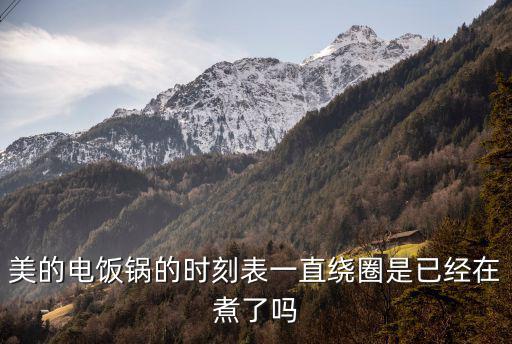 美的电饭锅的时刻表一直绕圈是已经在煮了吗