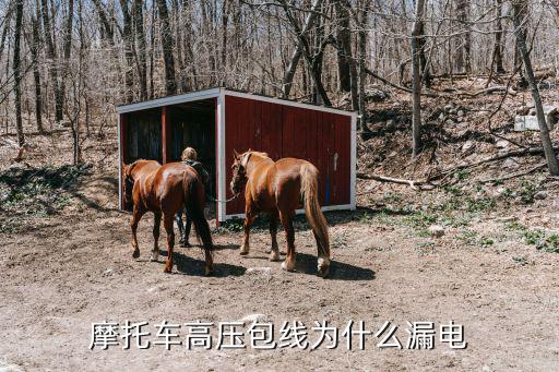 高压包漏电是什么电，摩托车高压包线为什么漏电