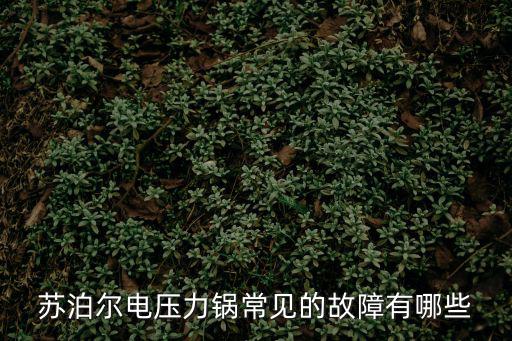 苏泊尔电压力锅常见的故障有哪些