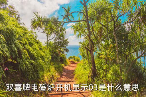 电磁炉显示03什么问题，双喜牌电磁炉开机显示03是什么意思