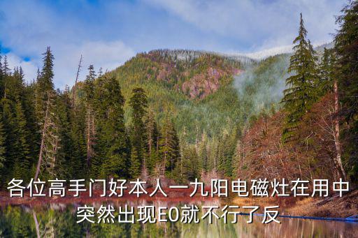 九阳电磁炉通电显示e0什么原因，各位高手门好本人一九阳电磁灶在用中突然出现E0就不行了反