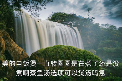 美的电饭煲一直转圈圈是在煮了还是没煮啊蒸鱼汤选项可以煲汤吗急