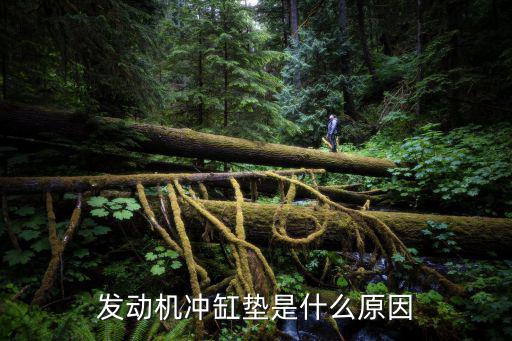发动机冲缸垫是什么原因