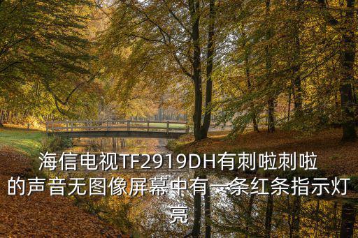 海信电视TF2919DH有刺啦刺啦的声音无图像屏幕中有一条红条指示灯亮