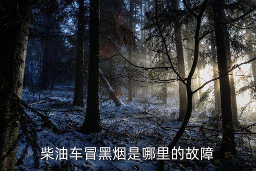 柴油车冒黑烟是哪里的故障
