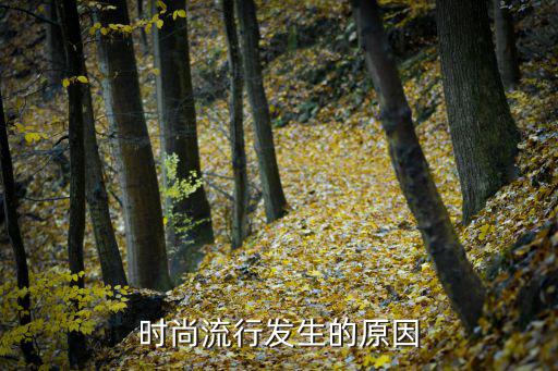 为什么会出现时尚潮流，为什么流行时尚