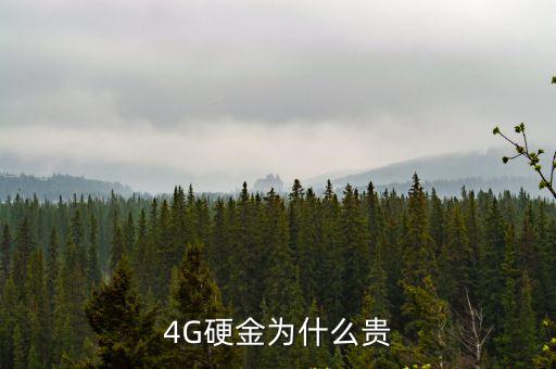4G硬金为什么贵