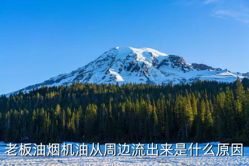 老板油烟机油从周边流出来是什么原因