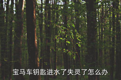宝马车钥匙进水了失灵了怎么办