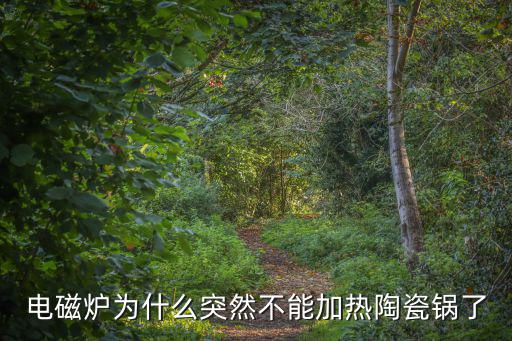电磁炉不能加热什么锅，电磁炉上不能放哪些材料的锅