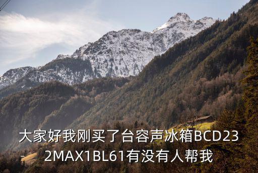 大家好我刚买了台容声冰箱BCD232MAX1BL61有没有人帮我