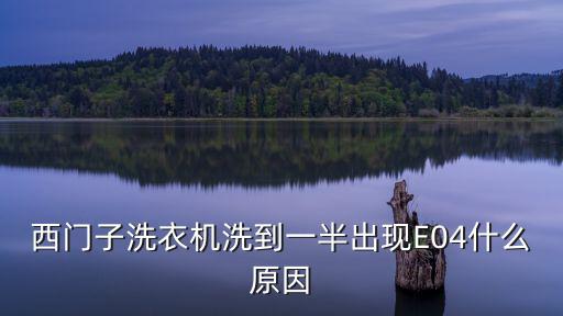 西门子洗衣机洗到一半出现E04什么原因