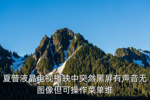 夏普液晶电视播映中突然黑屏有声音无图像但可操作菜单维