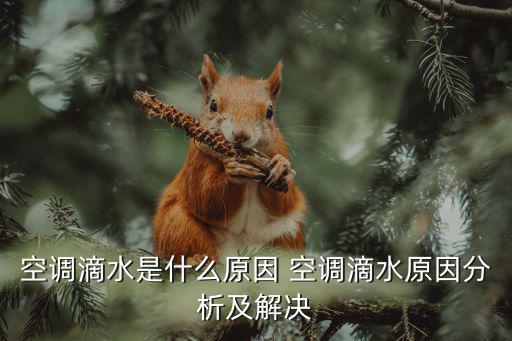 空调总漏水是什么原因，空调漏水是什么原因
