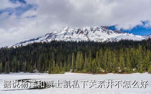 据说杨洋和贾士凯私下关系并不怎么好
