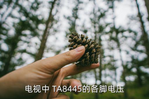 ta8445是什么，TCL2566B电视水平一条亮线场块TA8445k和周围的东西基本都换了还不行