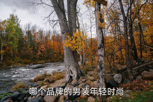 哪个品牌的男装年轻时尚