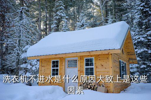 洗衣机放不进水是什么原因是什么，洗衣机不进水什么原因