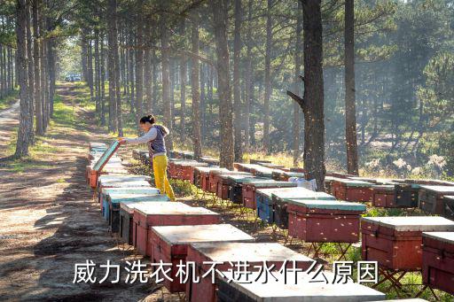 威力洗衣机不进水什么原因