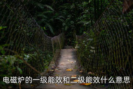 电磁炉的一级能效和二级能效什么意思