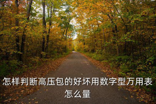 怎样判断高压包的好坏用数字型万用表怎么量